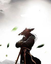 双生武魂的武魂怎么写