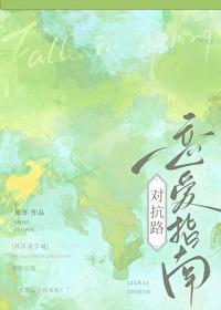 对抗路教程