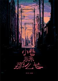 小巷原来那么长结局