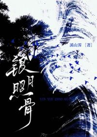 银月照骨txt