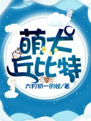 丘比特犬价格