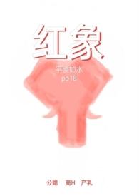 红象装饰公司百度百科