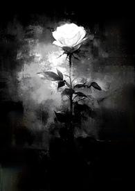 藏起来的星光免费阅读20