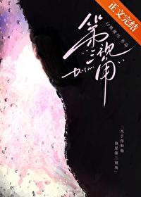 第三视角是什么样的