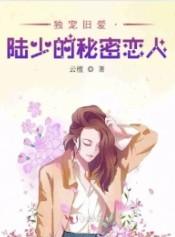 独宠旧人陆少的秘密恋人