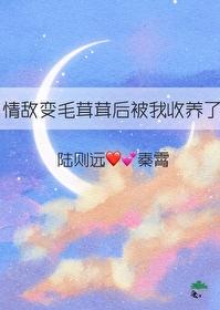 情敌变毛茸茸后被我收养了txt
