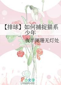 排球少年动物