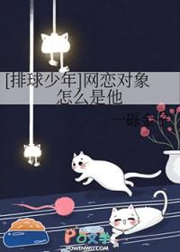 哈尔滨华为手机售后维修点在哪里