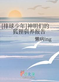 排球少年设定
