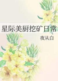 星际美食直播日常