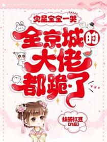 灾星简原型