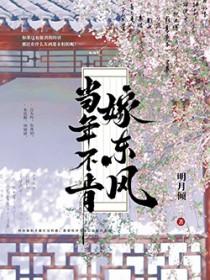 当年不肯嫁东风梅燃晋江