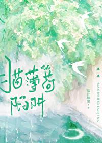 猫薄荷是什么玩意