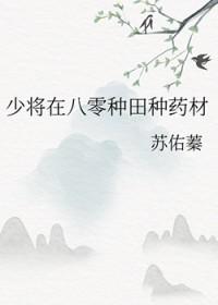 少将在八零做药农免费阅读