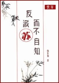 反派苏而不自知·后记