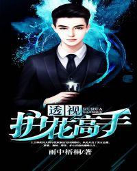 透视高手在花都txt全集免费