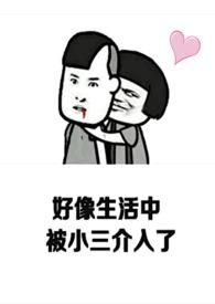 上位攻略无三观