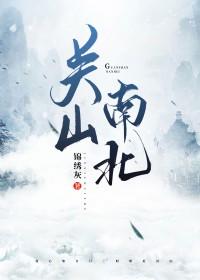 关山南北书评解析