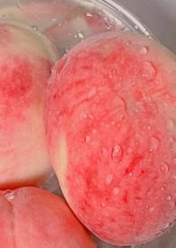 白桃父女黑格著