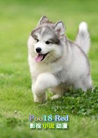 小奶狗(年下)从小被养