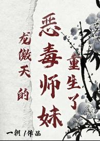 龙傲天的恶毒师妹重生了一期