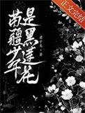 男主苗疆少年