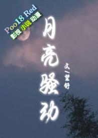 月亮骚动py转正免费阅读西瓜