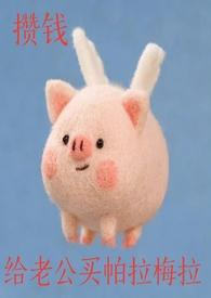 攒钱给老公买帕拉梅拉po金宝朱