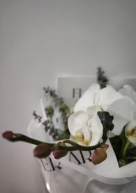 我的未婚妻不可能这么主动