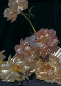 午夜时分是什么时候?