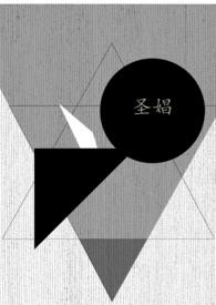 圣娼刺客N