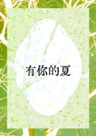 有你的夏天dididida