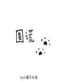 圆谎的故事
