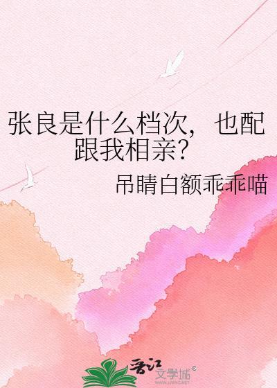 张良是啥