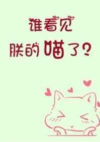 谁看见朕的喵了?by初云之初