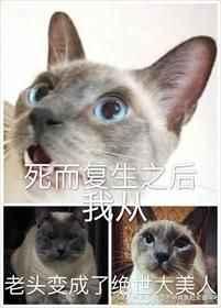 死而复生的我从老头变成绝世美人
