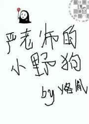 严老师的小野狗谁攻谁受