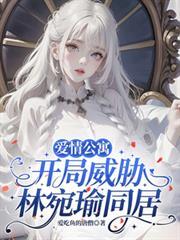 爱情公寓林婉瑜