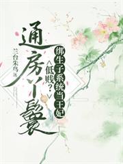 通房丫鬟低贱?绑生子系统当王妃免费阅读