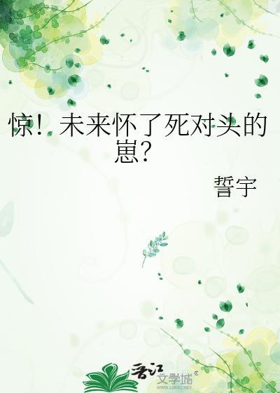 惊!未来怀了死对头的崽?作者誓宇