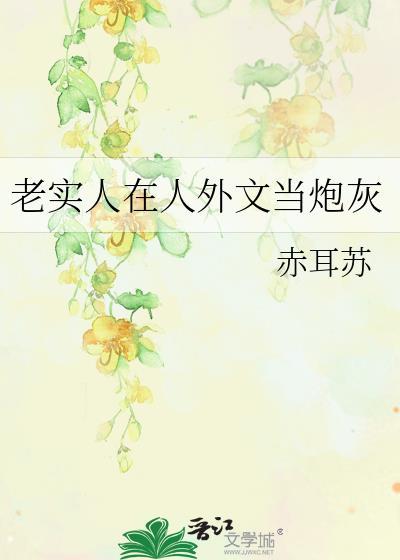 老实人外国正版