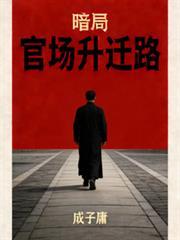 官场暗斗电视剧