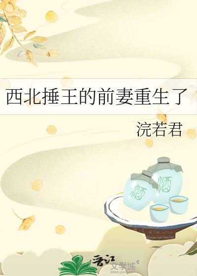 电视剧西北王
