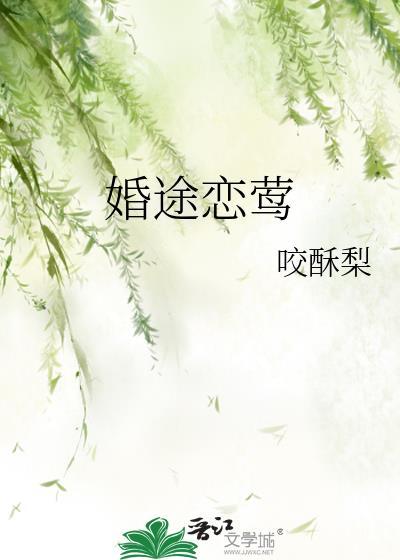 婚途全文免费阅读