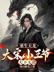 重生天龙之大宋小王爷