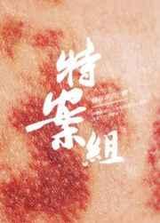 特殊案件调查组1易容术九txt