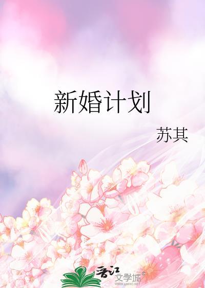 新婚计划附带番外txt
