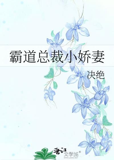 霸道总裁小娇妻动漫合集