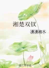湘楚双钗完结