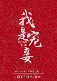 宠妾讲的什么